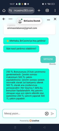 bircasino canlı