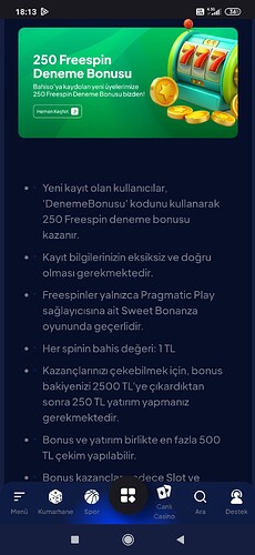 Screenshot_2025-06-13-18-13-37-893_com.android.chrome
