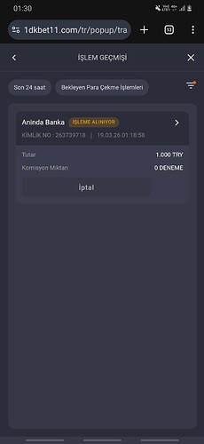 Screenshot_20260319-013056_Chrome